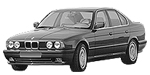 BMW E34 P16E9 Fault Code